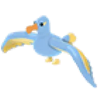 Diamond Albatross