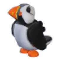 Puffin