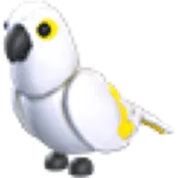 White Amazon (Normal)
