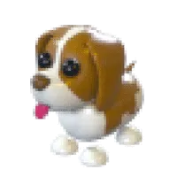 Brown Springer Spaniel (Normal)
