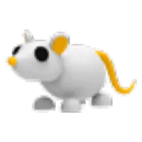 Golden Rat