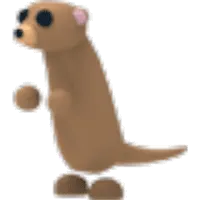 Meerkat