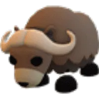 Musk Ox