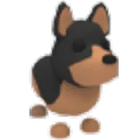 Australian Kelpie (Fly)