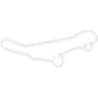 Neon White Skateboard