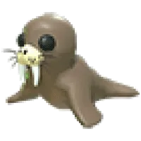 Walrus